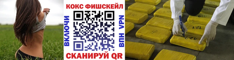 Cocaine FishScale Купить где Закаменск