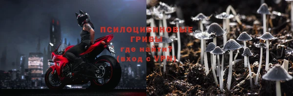 PSILOCYBIN Киреевск