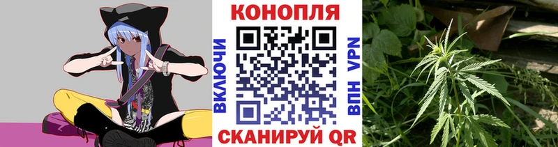 Бошки марихуана White Widow  Купить закладки  Закаменск 